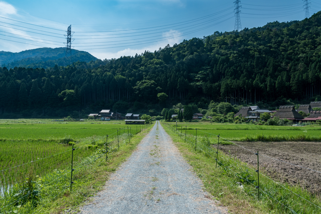 美山の道
