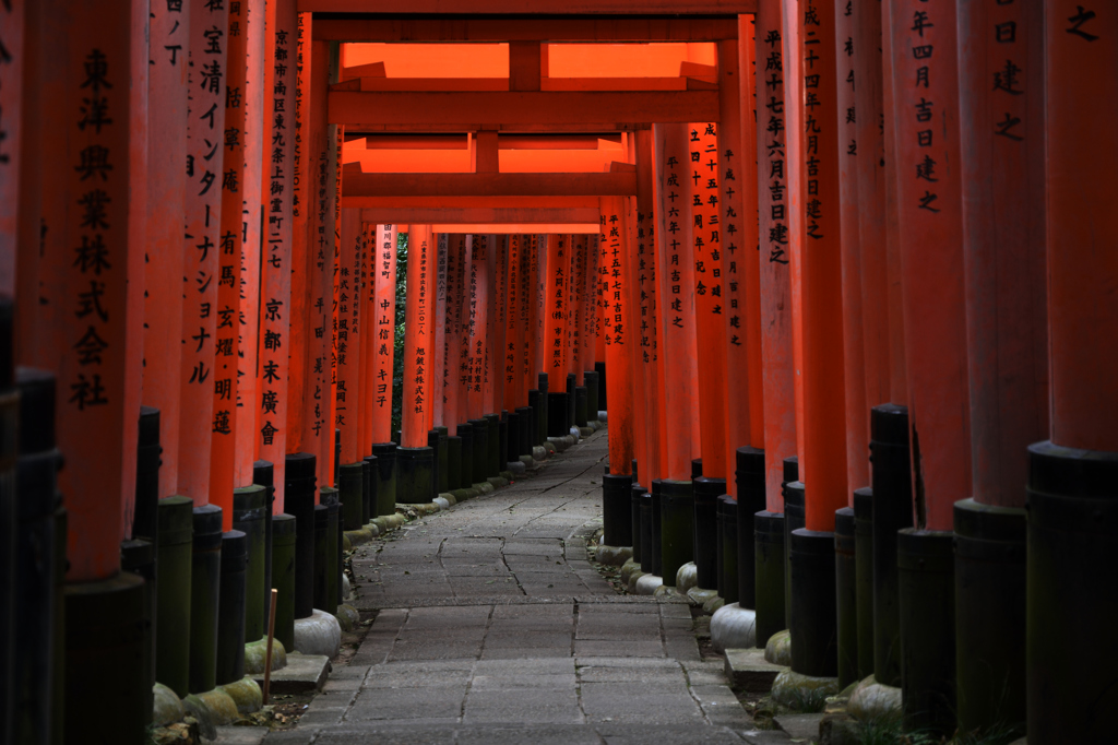 いつでもひとがいるところ