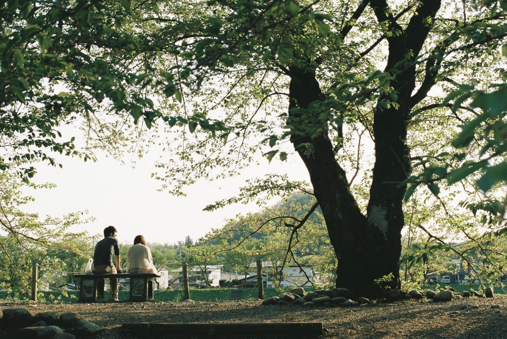 今日のこと。