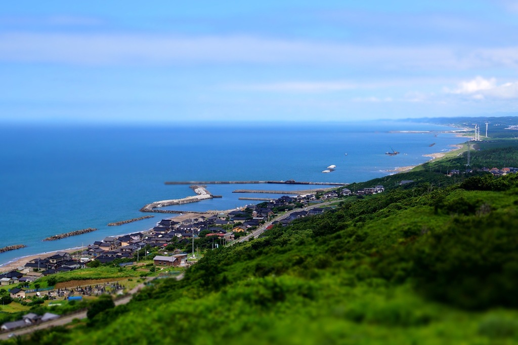 海岸線