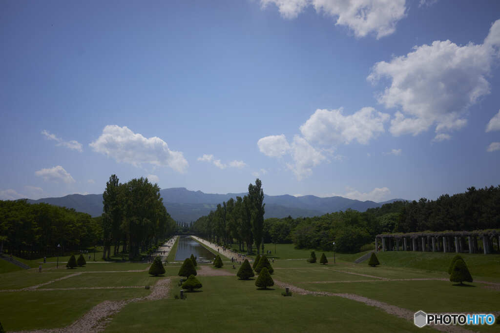 前田森林公園⑤サブカメラの画像