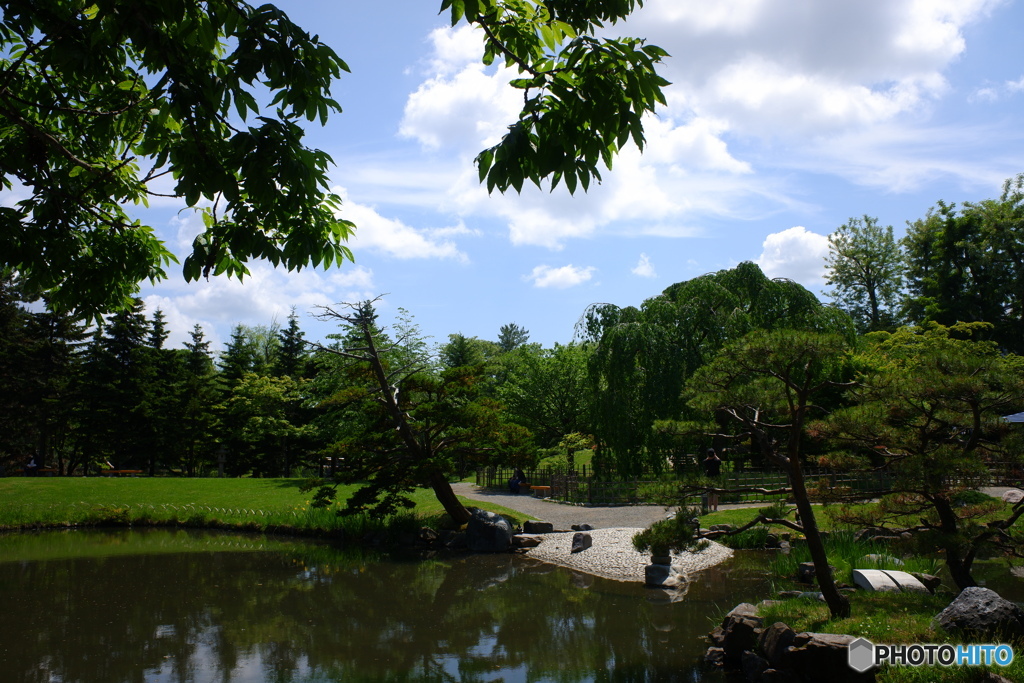 中島公園散歩⑥日本庭園