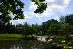 中島公園散歩⑥日本庭園