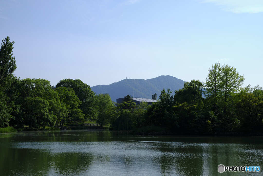 中島公園散歩③菖蒲池とキタラの屋根