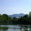 中島公園散歩③菖蒲池とキタラの屋根