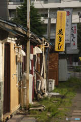 狸小路の横丁