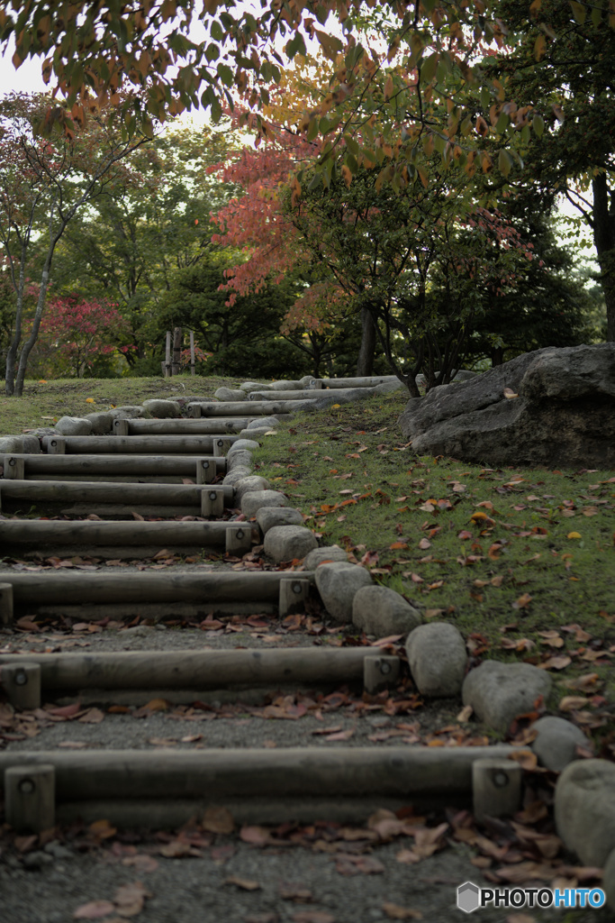 中島公園