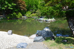 中島公園散歩⑧日本庭園