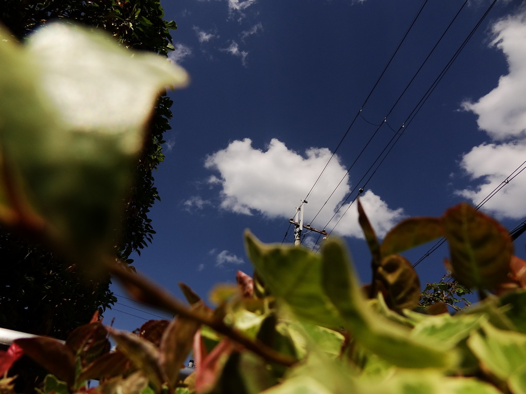 空は、蒼く、雲は、白い