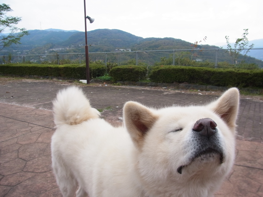 今日もいい気分！