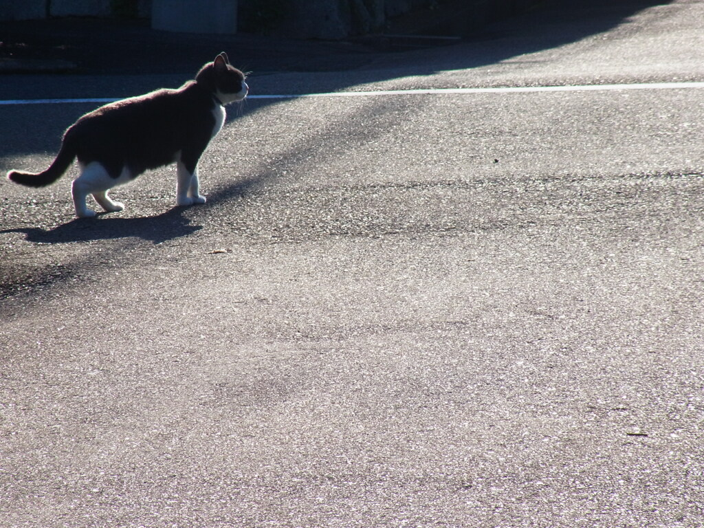 そして、また、歩き始める