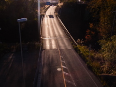 中道を行く