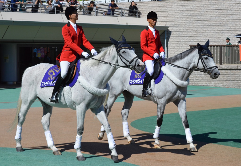 府中の誘導馬