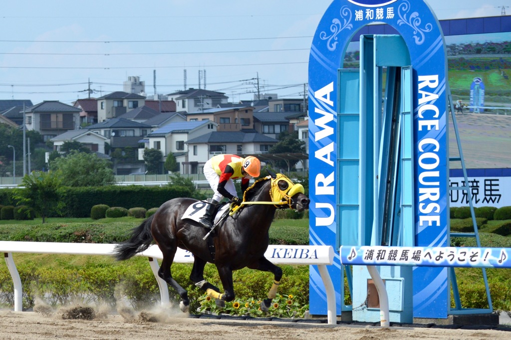 浦和で1着！