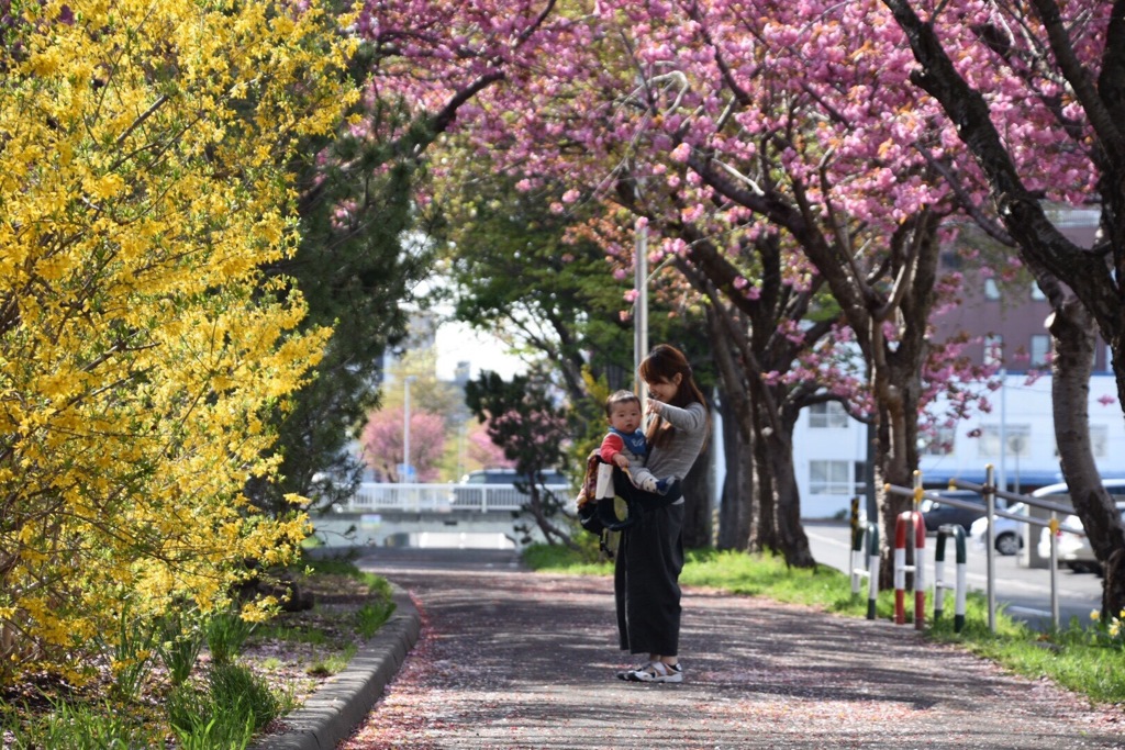 そろそろ桜の季節