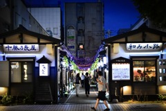 夏の十勝