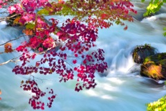 阿寒の滝