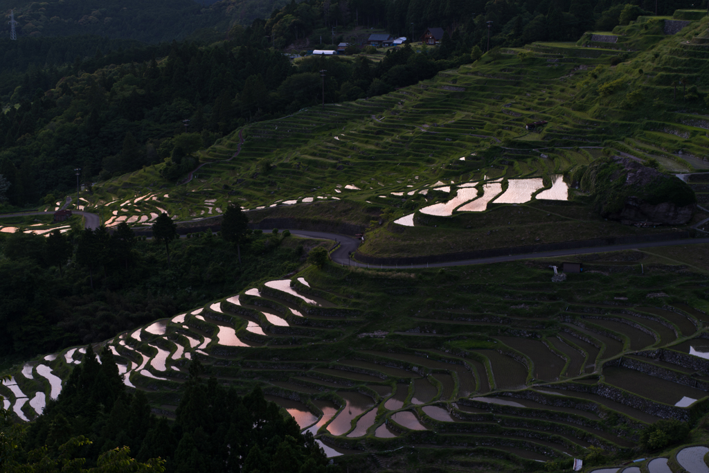 日没の棚田