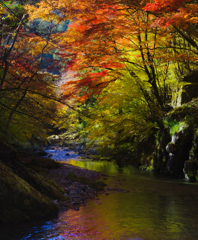 紅葉の渓流