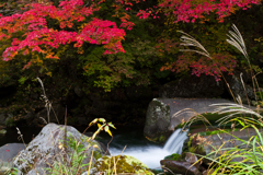 秋の渓流