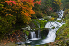 紅葉と苔の滝