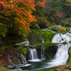 紅葉と苔の滝