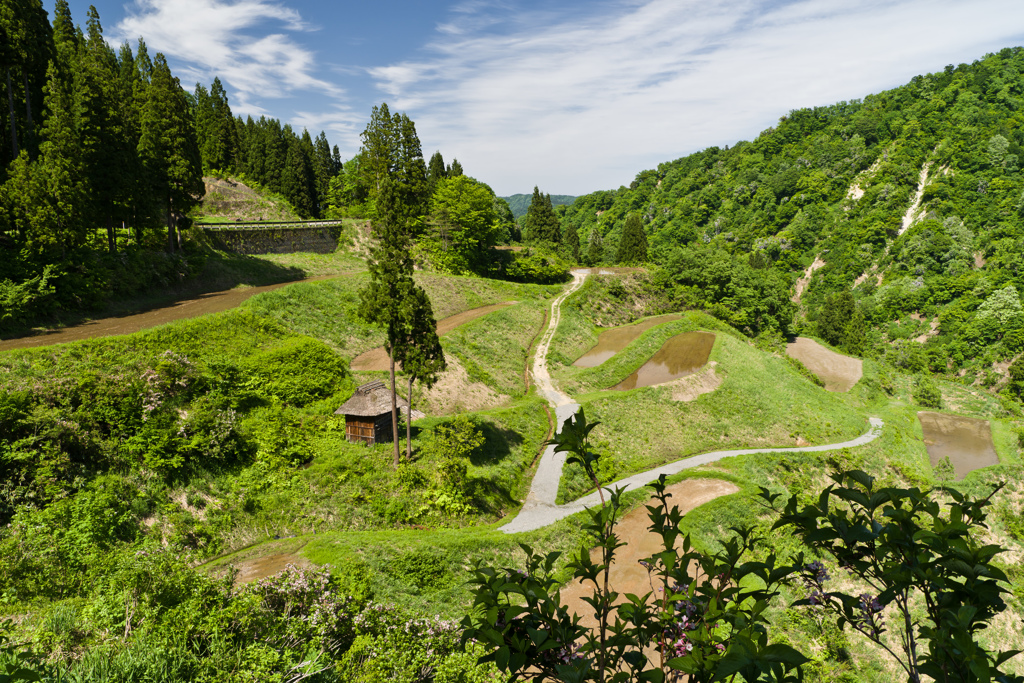 田植え前の棚田