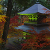 紅葉、仏塔、秋の夕暮