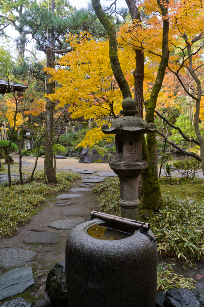 紅葉庭園への誘い