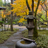 紅葉庭園への誘い