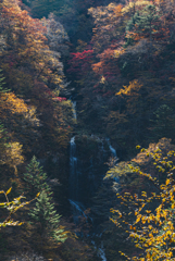 滝を包む秋色