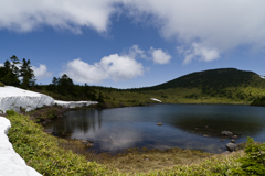 夏山の季節の始まり