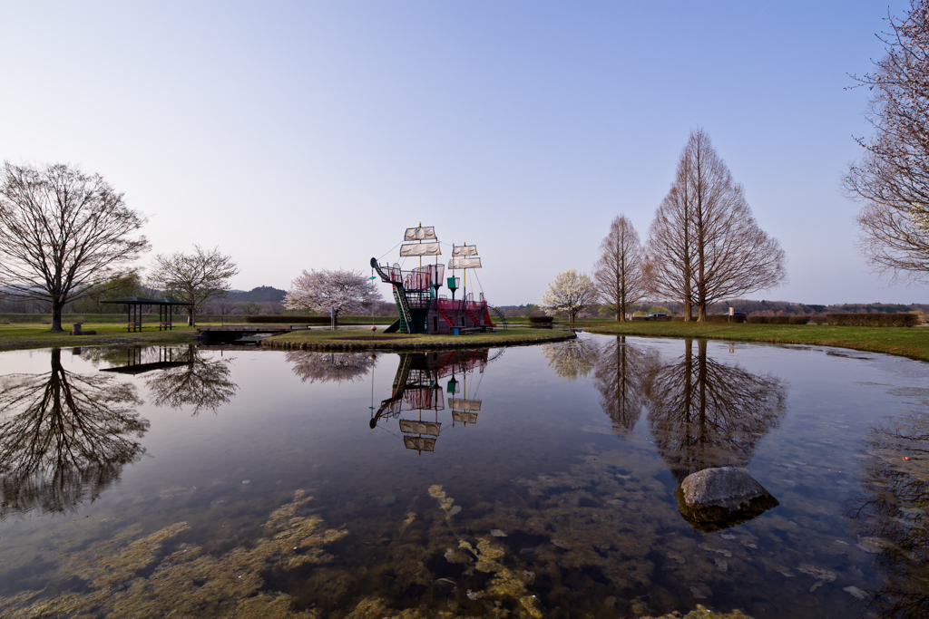 ある公園の春