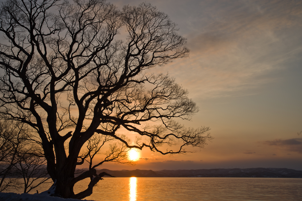 冬枯れの湖畔・夕景