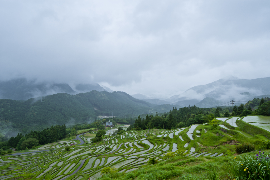 棚田雨景