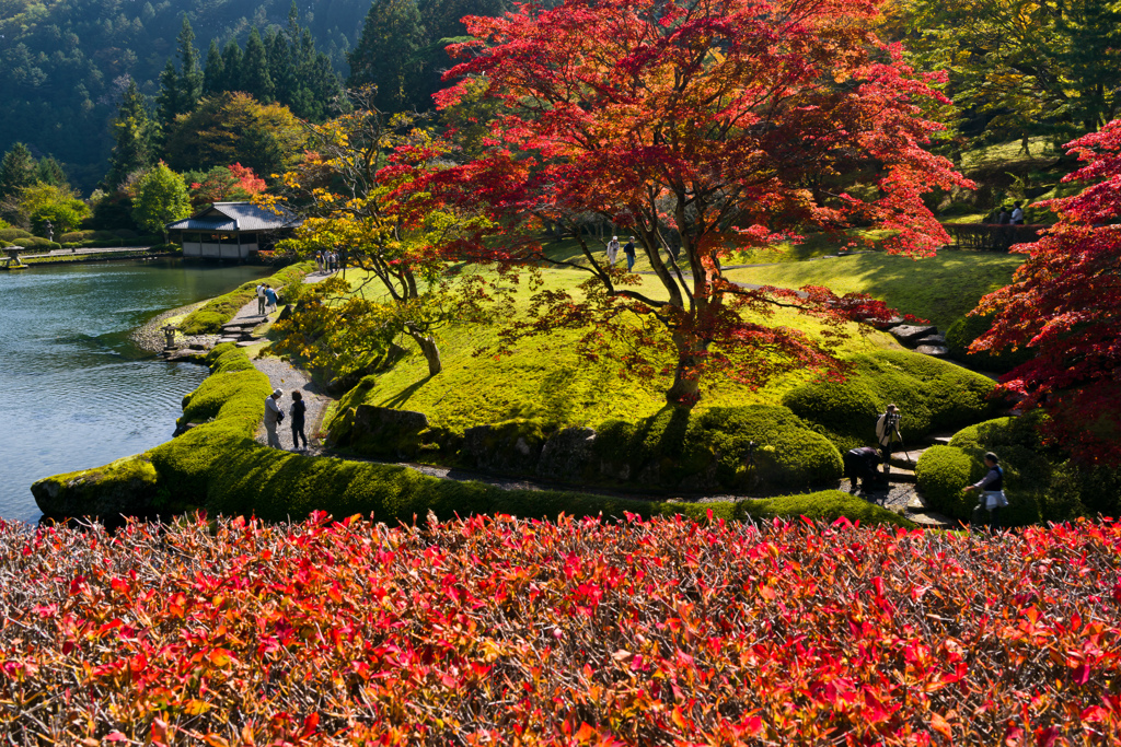 紅葉狩り