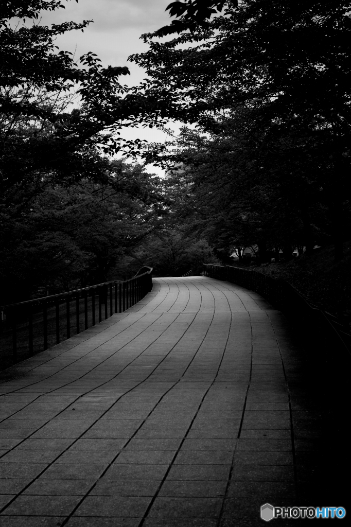 PENTAX K-7_IMGP3125