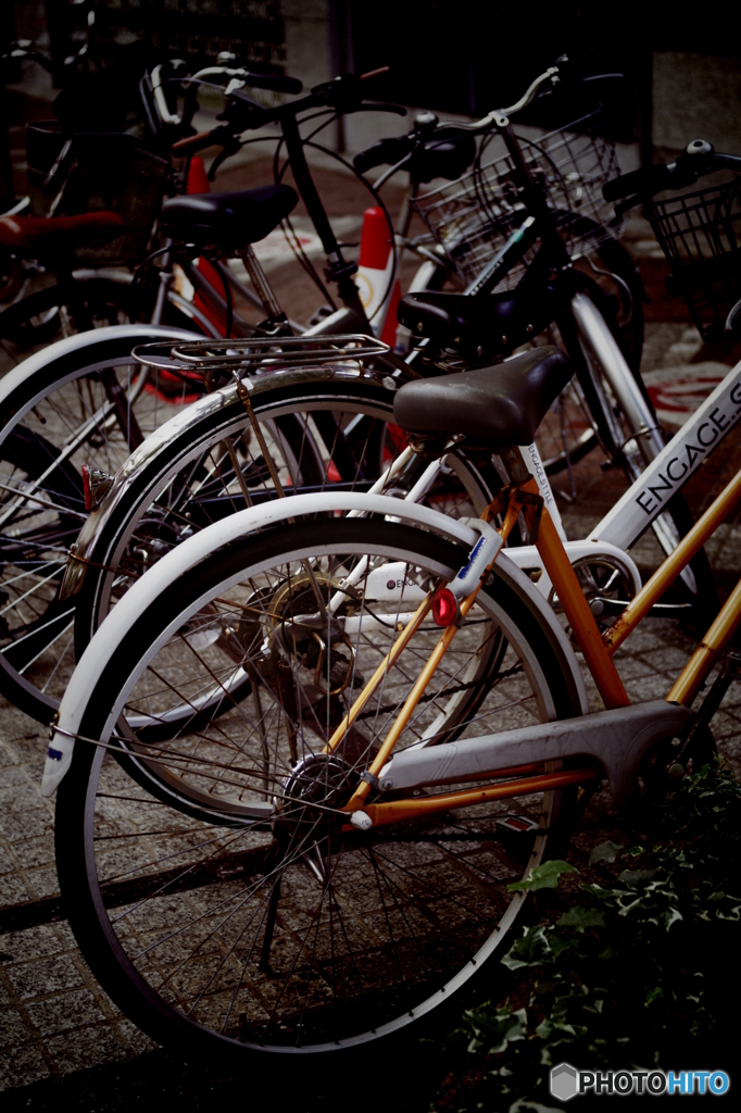 PENTAX K-7_IGP2463