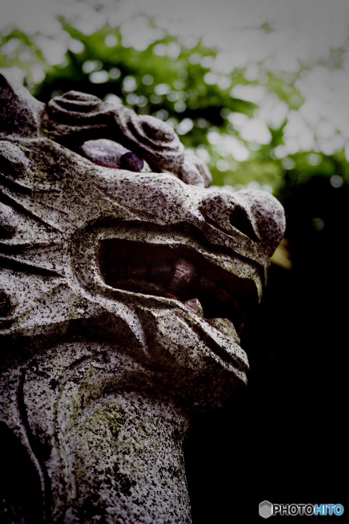 PENTAX K-7_IGP2346