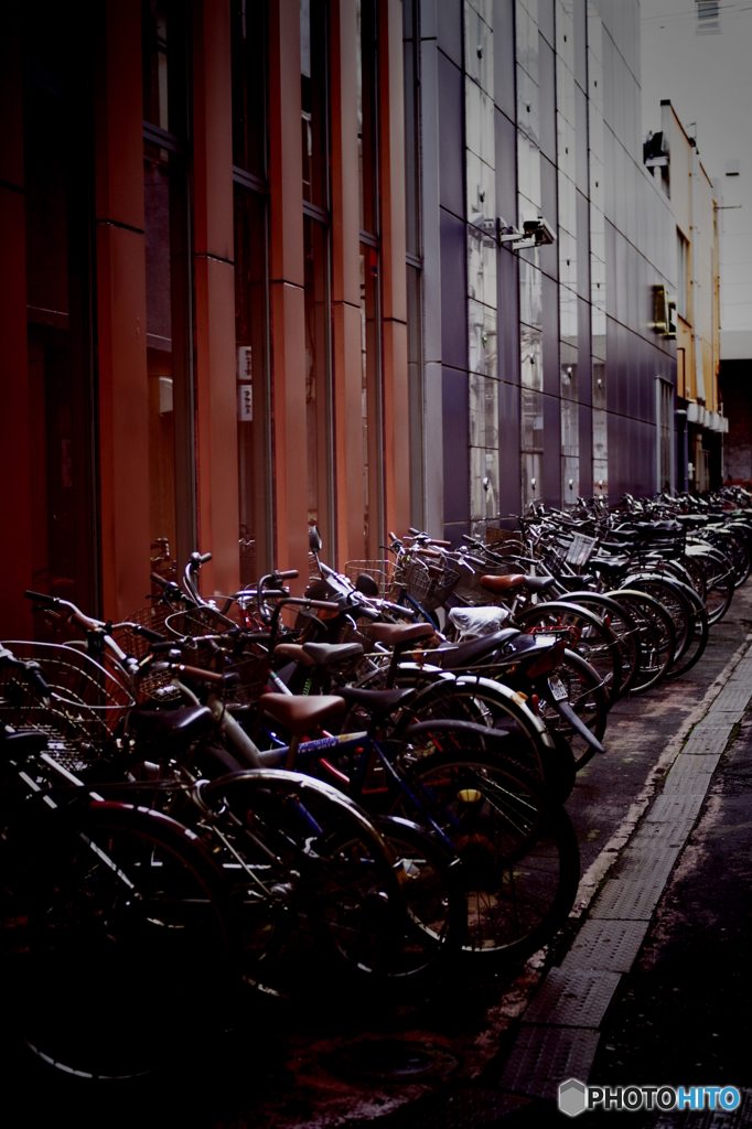 PENTAX K-7_IGP2461