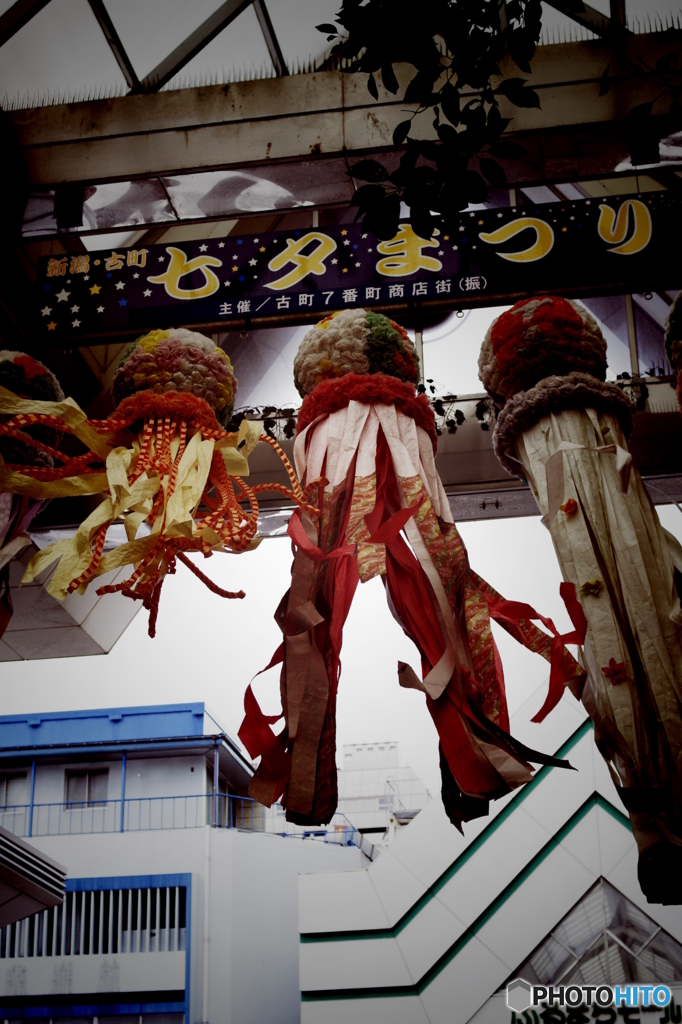PENTAX K-7_IGP2455