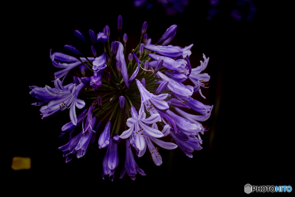 PENTAX K-7_IGP2359