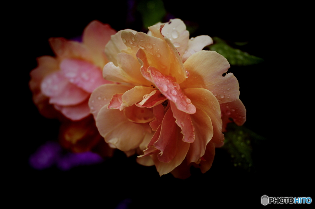 PENTAX K-7_IGP2328
