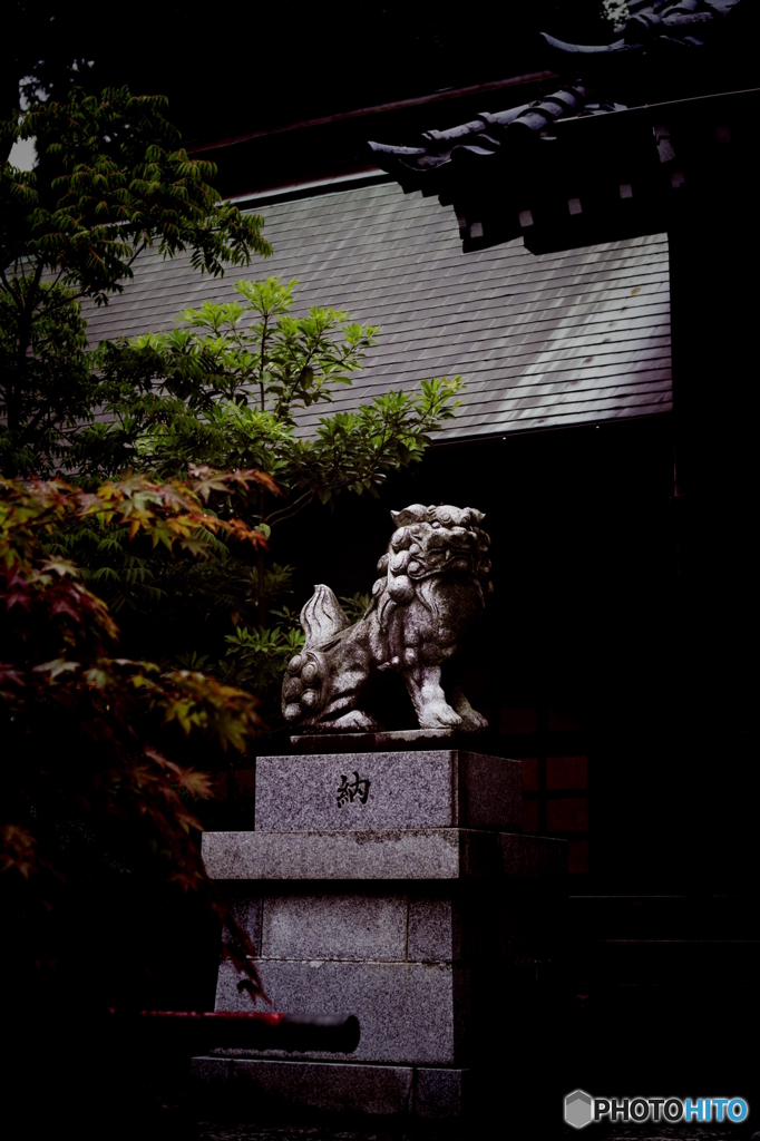 PENTAX K-7_IGP2335