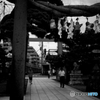 PENTAX K-7_IMGP3132
