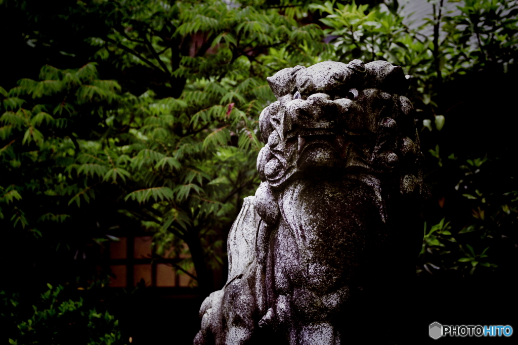 PENTAX K-7_IGP2351