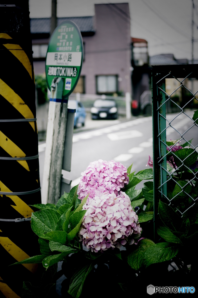 PENTAX K-7_IGP2302