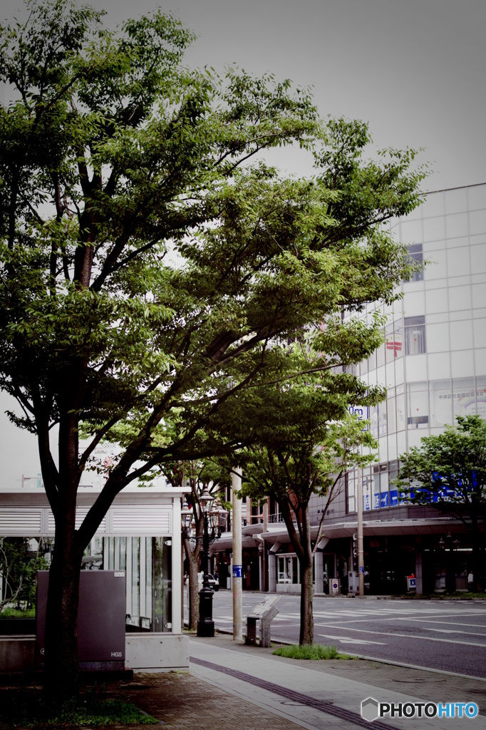 PENTAX K-7_IGP2382