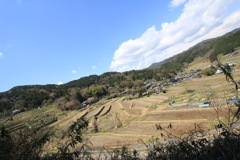 083B6B4C-E28D-431B-BB6B-0C6F586D5884