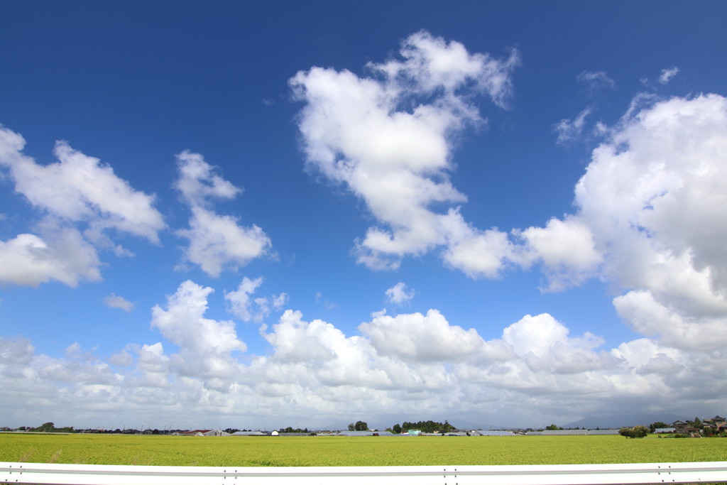 青い空白い雲３ By まる２ Id 8030832 写真共有サイト Photohito